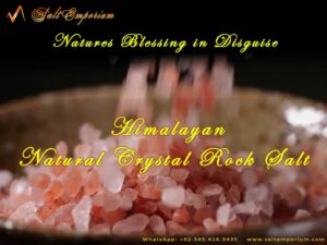 Natures Blessing in Disguise – Himalayan Pink Salt