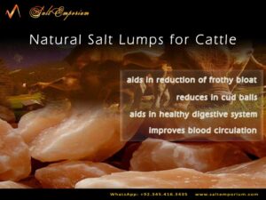 Natural Salt Lumps for Cattle