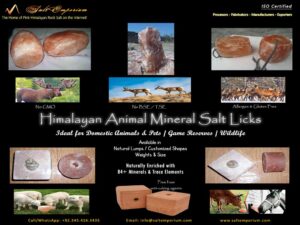 Himalayan Animal Mineral Salt Licks