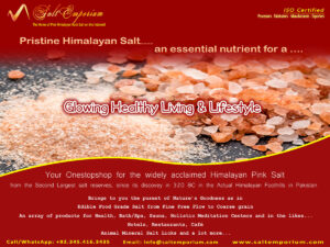 Pristine Himalayan Salt – From Nature to Your Table