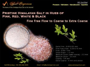 Himalayan Salt vs Rampant Omicron Invasion