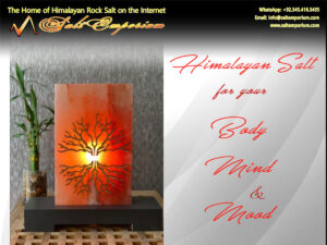 Himalayan Salt – for Your Body, Mind & Mood