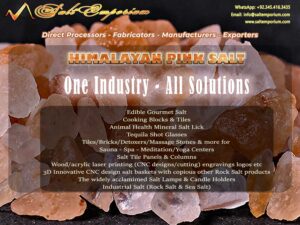 One Industry – All Solutions